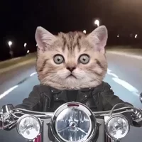 1655069945667.webp