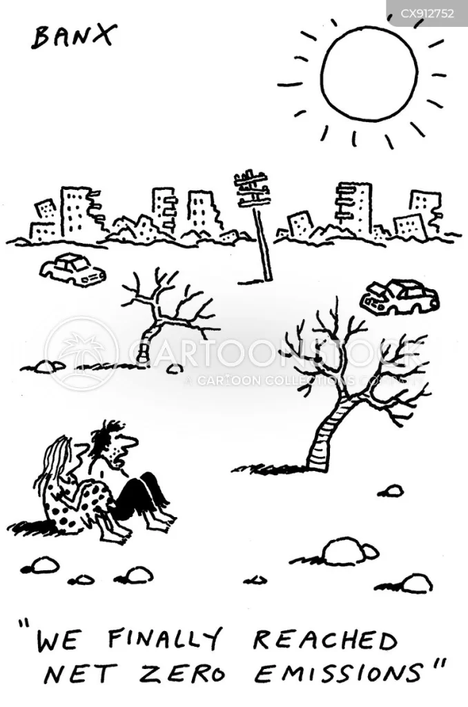1699959545118.webp