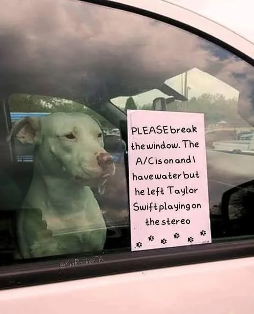 1774976472292.webp
