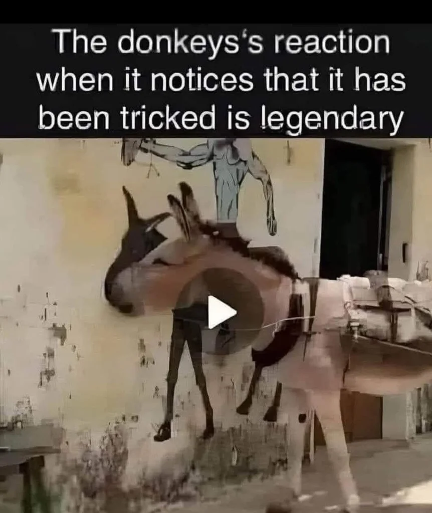 1783803082993.webp