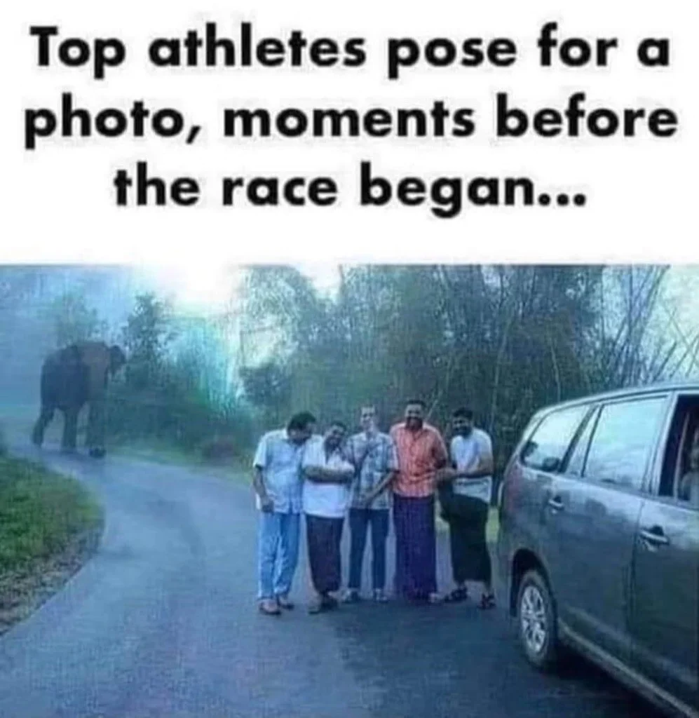 1791120192937.webp
