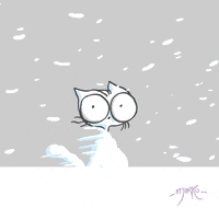 200w.gif