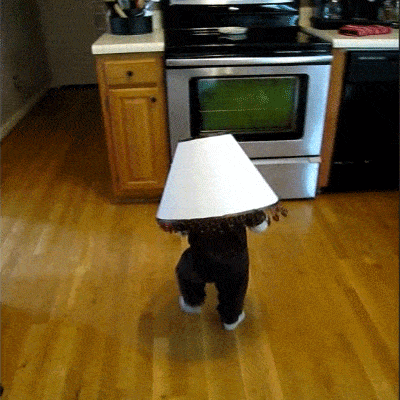 Baby-Bump....gif