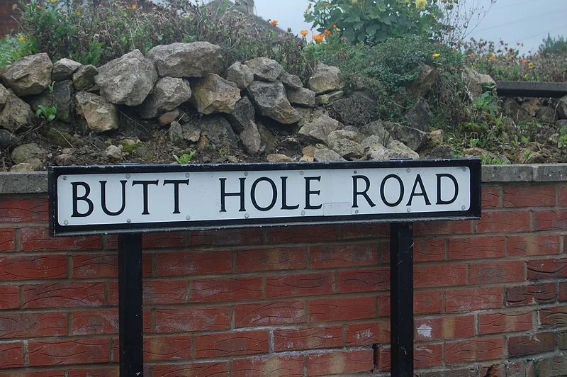 butt-hole.webp
