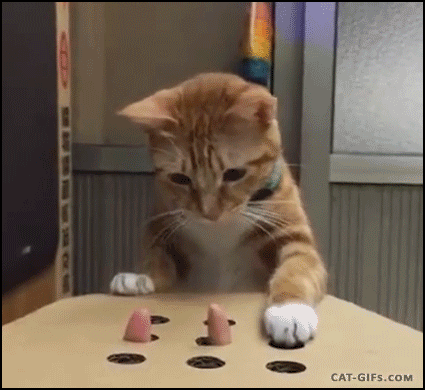 Cat mole.gif