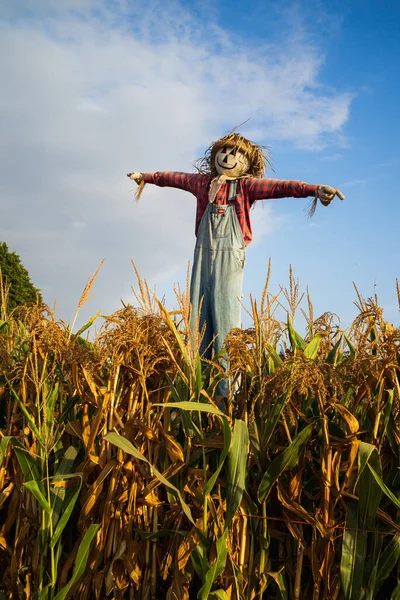 depositphotos_345767246-stock-photo-happy-scarecrow.webp
