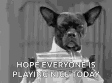 dog-bartender.gif