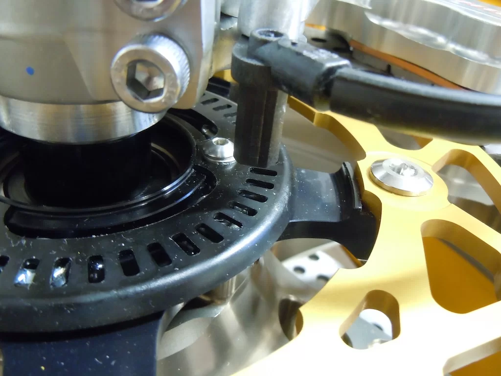 DSCN5656.webp