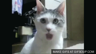 E46CE6BA-354D-4BD0-AA8B-459AF2BACEFE.gif