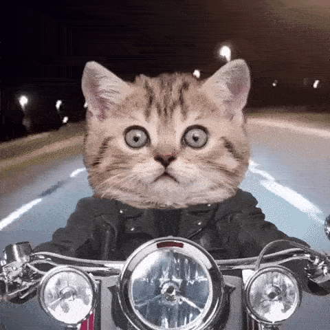 ezgif-5-50c397b6ab.gif