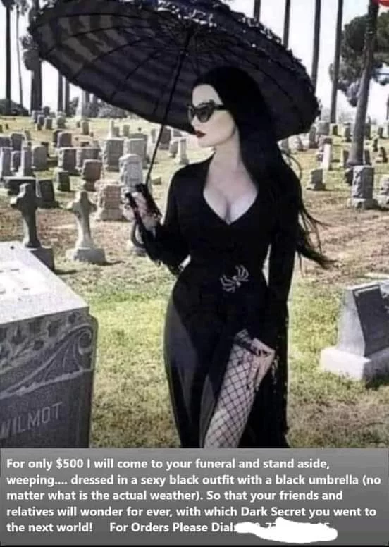 FB_IMG_1726431329562.webp