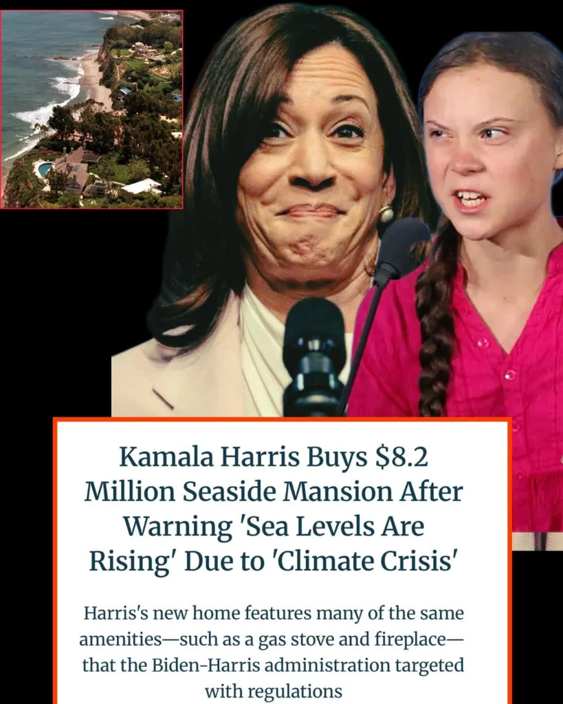 FB_IMG_1768612057800.webp