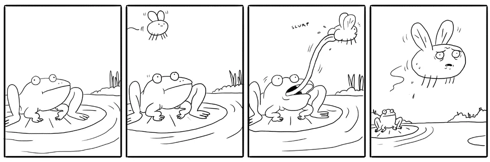 frog.webp
