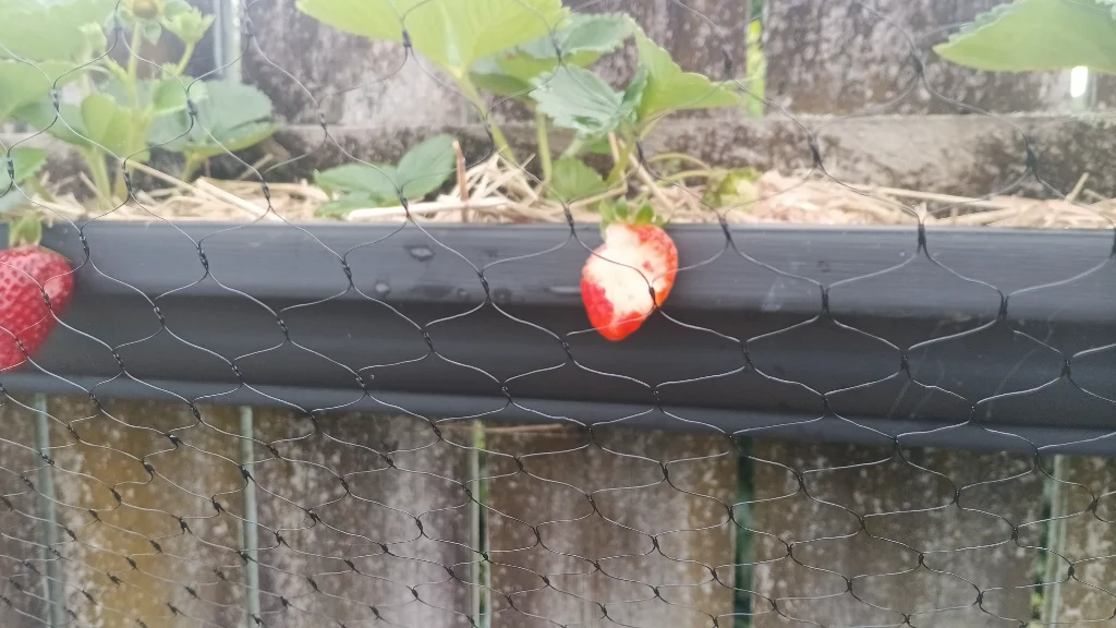 IMG-20251115-WA0000.webp