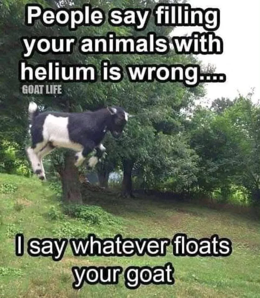 IMG_0212.webp