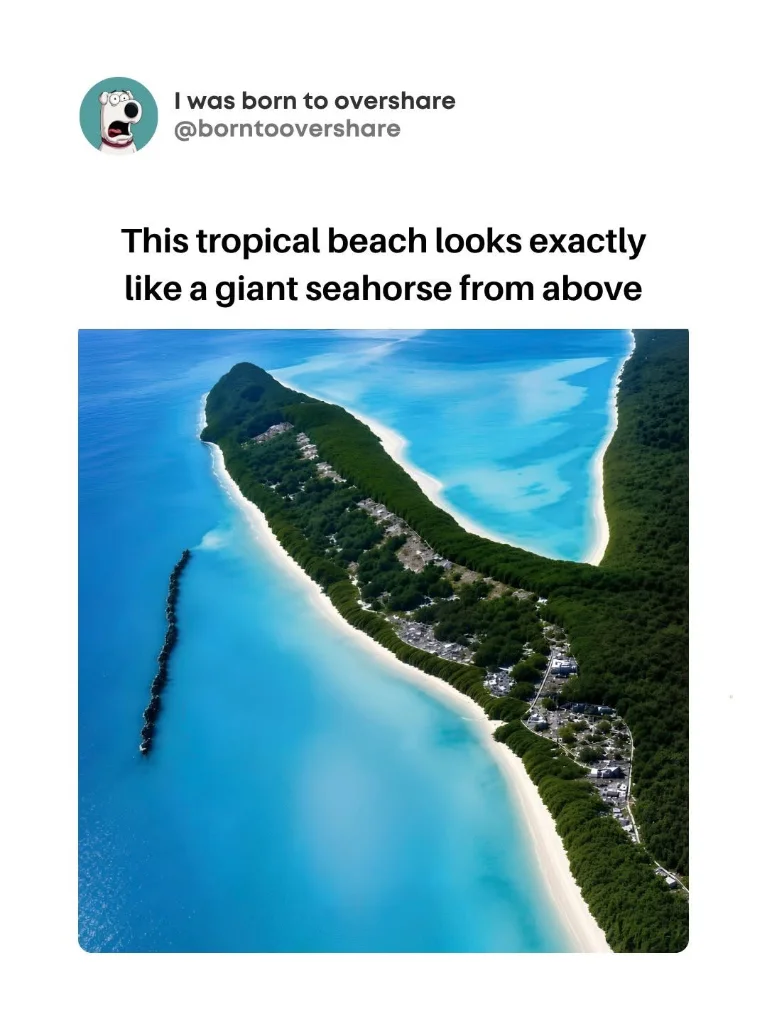 IMG_0573.webp