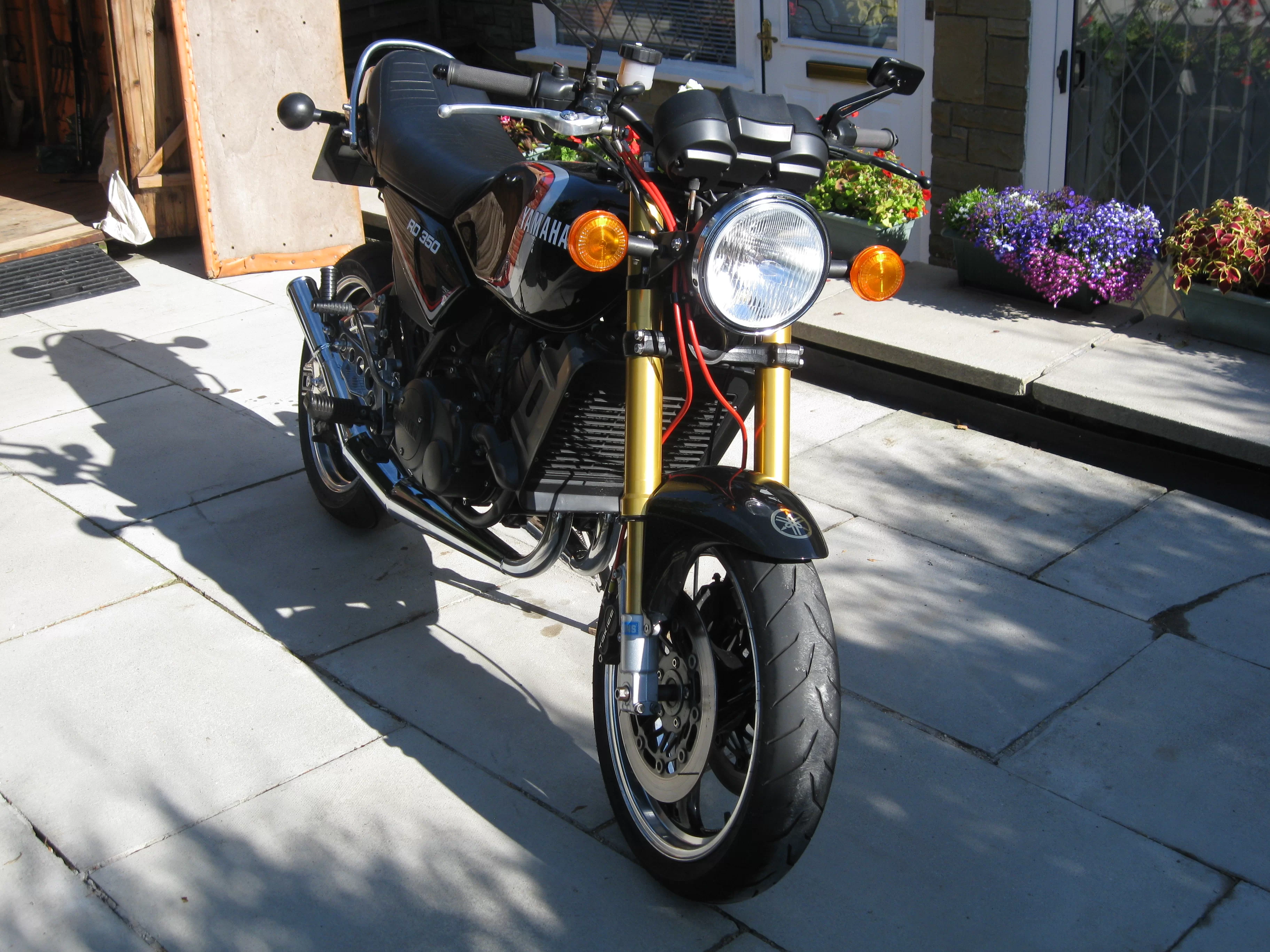 IMG_1239 (1).webp