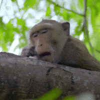 IMG_6458.gif