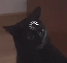 midnight-the-cat-stopped-working-midnight-the-cat.webp