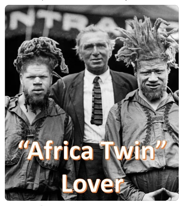Twin Lover Africa Twin Lover.webp