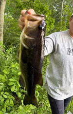 IMG-20260604-WA0003.webp