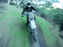 the-dirt-bike-kid-stroll.gif